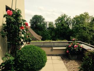 AVLiving City FLAT Basel with Roof Garden - Basilea - 0