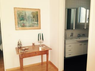 AVLiving City FLAT Basel with Roof Garden - 3