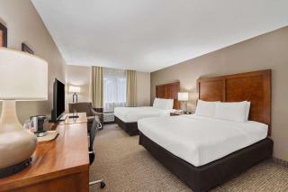 Comfort Inn Fort Myers Northeast - Fort Myers - 3