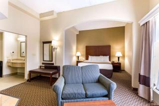 Comfort Suites Elkridge Columbia Gateway - 4