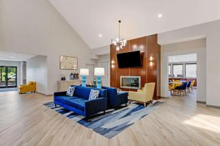Comfort Suites Chesapeake - Norfolk - Chesapeake - 7
