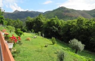 Quinta da Casa Matilde - NATURE HOUSE - 5