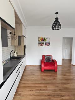 Dwupokojowy Apartament z widokiem na kanał Augustowski - Augustów - 8