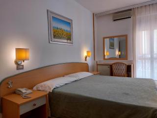 Hotel Nettuno - Roseto degli Abruzzi - 9