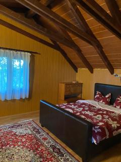 The LakeHouse Tauț - Tauţ - 1