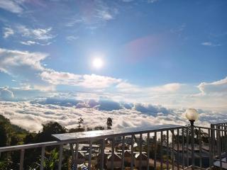Tae Khob Fah at Phu Thap Buek - Lom Kao - 0