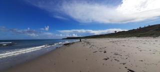 Alderlane cottage - 2