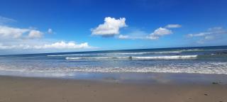 Alderlane cottage - Wexford - 1