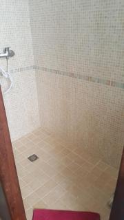 Lei Gabians à Porquerolles - 1