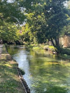 Chez BA&PA - LʼIsle-sur-la-Sorgue - 5