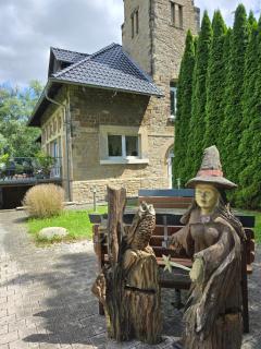 Palais Picard Westflügel - Thale - 1