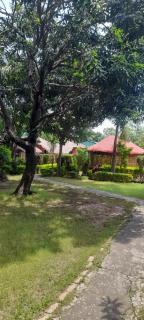 Totally adventure and fun - Tanakpur - 5