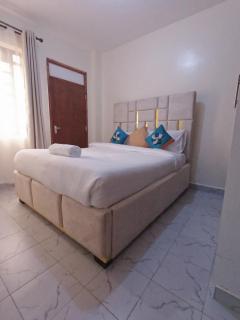 Ravic Homes Nairobi,One bedroom - Nairobi - 3