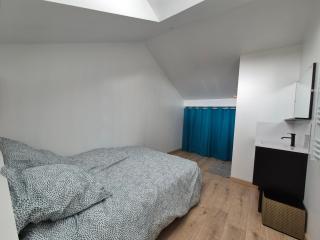 Appartement cosy Roanne - Roanne - 3