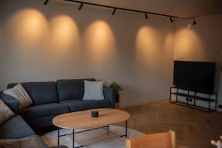 Penthouse, heart of city center, high standard - 8