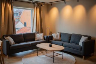 Penthouse, heart of city center, high standard - 6