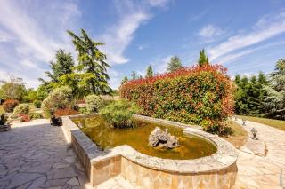 La maison de Gradille - Piscine - Lisle-sur-Tarn - 5