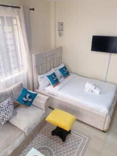 Ravic Homes Nairobi, Studio Apartment - Nairobi - 0