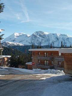 Les Domaines de LArselle à Chamrousse 1700 - Droseras D12 Classé 3 étoiles - Chamrousse - 0