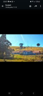 Fazenda Morro Alto Alegre - 3