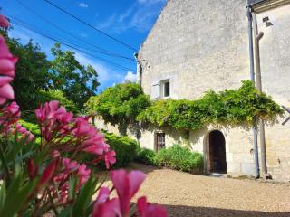 La Cale de la Clauderie - Rigny-Ussé - 3