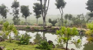 Nhà Bên Đồi - The Hill House Villa - - 8