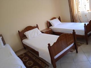 Rina's Appartment - Çorovodë - 9