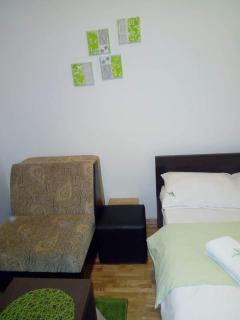 Apartman Zlatibor Radin - Zlatibor - 8