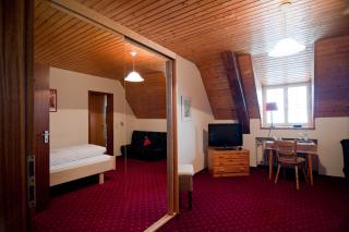 Hotel Gasthof zur Post - Wolfegg - 1