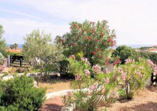 Appartement In La Ciaccia Mit Möblierter Terrasse - Valledoria - 5