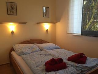 Haus Strandläufer Wohnung 2 - Kellenhusen - 5