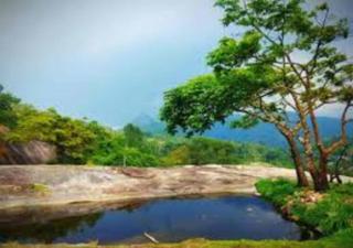 couples home - Kalpetta - 0