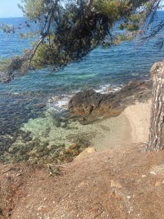 Charmant RDJ T3 en Bord de Mer terrasse Carqueiranne By HC - Carqueiranne - 5
