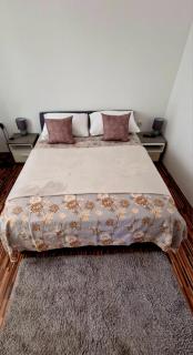 Villa Ivana - Škabrnje - 5