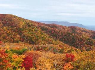 On Top Of The World-heavenly Views-sunsets-pool! - Gatlinburg - 6