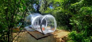 La Bulle d'Haut - - 0