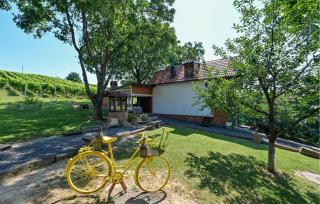 Gorgeous Home In Sveti Urban With Sauna - 1