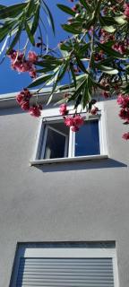 Apartman Vito - Ploče (Porto Tolero) - 9