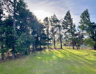 Acogedor apartamento con amplio patio - The Goat Spot - planta baja - 5