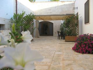 B&B Masseria Spilafemine - Turi - 3