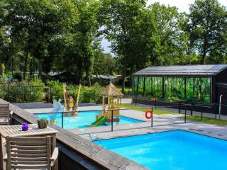 Holiday Home in Netherlands with Sauna - Hoenderloo - 6