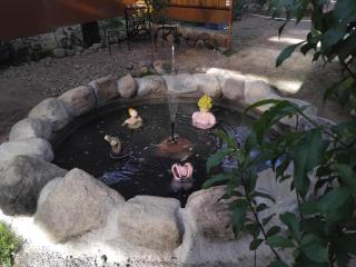 300m2 greenhouse - 4