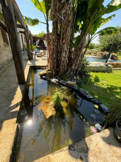 Villa bellevue - Roquebrune - 3