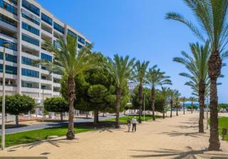 Benidorm Bali area - Benidorm - 7