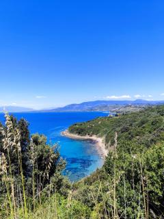Malachè - Torchiara - 0