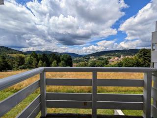 Gîte neuf au calme près de Gérardmer avec terrasse et balades en forêt - FR-1-589-217 - Le Tholy - 2