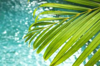 Dario 1 BR Luxury Private Pool Villas JU65 - Seminyak - 3
