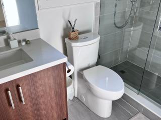 Brand New Modern Laneway House - Vancouver - 4