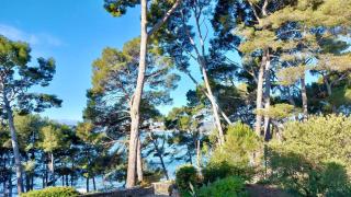 Studio Saint Cyr sur mer - Saint-Cyr-sur-Mer - 0