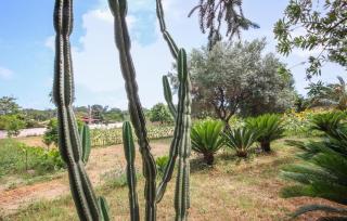 2 Bedroom Awesome Home In Pozzuoli - 1